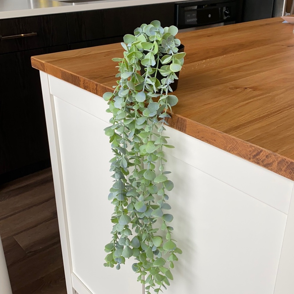 Fake Drapey Plant Vines